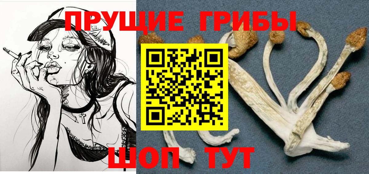 Вышний Волочёк  дарнет шоп  Вход с VPN  Псилоцибиновые грибы прущие грибы 